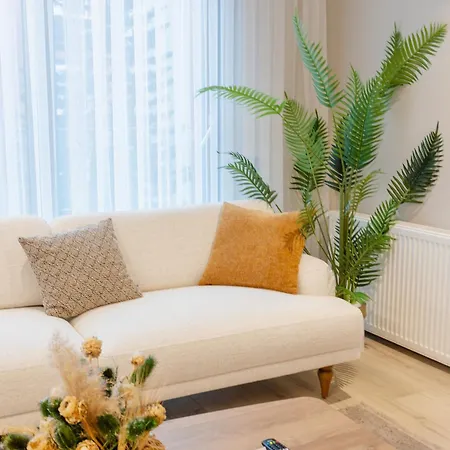 Apartman Los Suites *